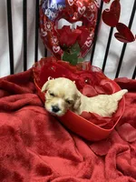 processed/84ded415-4d34-4d19-b3a2-3140f62c0fe1/listing/ee0db5e4-f8ba-4af8-884a-99743b544cbe/b9badf58-75d9-4238-acff-fc15bd5564a4