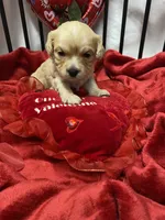 processed/84ded415-4d34-4d19-b3a2-3140f62c0fe1/listing/ee0db5e4-f8ba-4af8-884a-99743b544cbe/f07956e7-58ef-4756-bf2b-dbf55f00f357