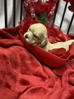 processed/84ded415-4d34-4d19-b3a2-3140f62c0fe1/listing/ee0db5e4-f8ba-4af8-884a-99743b544cbe/fbfd9a52-37df-4ab6-9917-a725c9daeba5