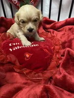 processed/84ded415-4d34-4d19-b3a2-3140f62c0fe1/listing/ee0db5e4-f8ba-4af8-884a-99743b544cbe/fe88622b-e3a8-44a7-b050-905340b36531