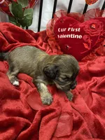 processed/84ded415-4d34-4d19-b3a2-3140f62c0fe1/listing/f910974d-2f73-42ec-b5a6-0522fa320a41/8d5428df-ffb1-4556-9457-3b841d1c5ca5