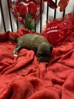 processed/84ded415-4d34-4d19-b3a2-3140f62c0fe1/listing/f910974d-2f73-42ec-b5a6-0522fa320a41/9789fe74-23f2-41d0-801e-74dce941cd10