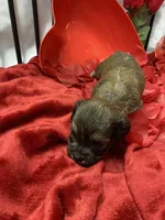 processed/84ded415-4d34-4d19-b3a2-3140f62c0fe1/listing/f910974d-2f73-42ec-b5a6-0522fa320a41/b98f1362-9ec6-4d58-a238-a326c5df60a2