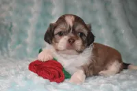 processed/84dfa56f-644b-451b-bad7-f4d9a63dec71/listing/cfb7556b-d343-4359-90d8-12b91cb8209c/2e0b0a84-7092-4d02-b2ec-3d53708e883c