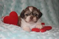 processed/84dfa56f-644b-451b-bad7-f4d9a63dec71/listing/cfb7556b-d343-4359-90d8-12b91cb8209c/3ca48ace-a536-445a-99b5-0b8e3bafbd18