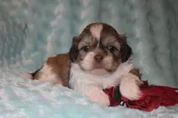 processed/84dfa56f-644b-451b-bad7-f4d9a63dec71/listing/cfb7556b-d343-4359-90d8-12b91cb8209c/6b9085a5-0b4c-4949-8b65-e1102bee55ef