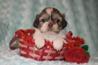 processed/84dfa56f-644b-451b-bad7-f4d9a63dec71/listing/cfb7556b-d343-4359-90d8-12b91cb8209c/f63ca246-bf3d-4d0a-ba29-11091b180b15