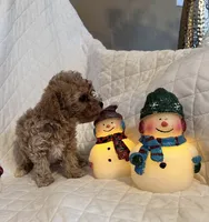 processed/84dfaa42-ba7d-464b-919c-4fdfc8c61609/listing/06afd16a-38b5-48c6-867f-c951a2050555/67c2619b-571c-4bc5-8dce-a27da7b82469