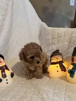 processed/84dfaa42-ba7d-464b-919c-4fdfc8c61609/listing/06afd16a-38b5-48c6-867f-c951a2050555/702c714c-44db-45da-bbcd-41d2d0212e9d