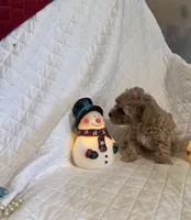 processed/84dfaa42-ba7d-464b-919c-4fdfc8c61609/listing/06afd16a-38b5-48c6-867f-c951a2050555/b62707ea-b327-49bb-8766-ae4c33e94a91