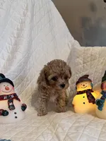 processed/84dfaa42-ba7d-464b-919c-4fdfc8c61609/listing/06afd16a-38b5-48c6-867f-c951a2050555/b7e03531-a34c-4209-8120-b9c08ad3090f