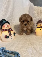 processed/84dfaa42-ba7d-464b-919c-4fdfc8c61609/listing/06afd16a-38b5-48c6-867f-c951a2050555/d3644b94-81f5-435d-b938-c0d188b38c03