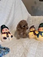 processed/84dfaa42-ba7d-464b-919c-4fdfc8c61609/listing/06afd16a-38b5-48c6-867f-c951a2050555/e170cc47-b035-4e8f-93ba-9f4e41068045