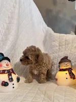 processed/84dfaa42-ba7d-464b-919c-4fdfc8c61609/listing/06afd16a-38b5-48c6-867f-c951a2050555/f22b453f-f67b-46ef-956a-313b3bbea577