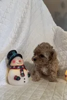 processed/84dfaa42-ba7d-464b-919c-4fdfc8c61609/listing/06afd16a-38b5-48c6-867f-c951a2050555/fe03668a-ccd3-4156-bf3c-f1c7fce370dc