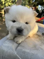 processed/84e1a84a-7651-4c82-81fd-379a11cfbdc6/listing/9e2ad0ff-f1d9-4be3-8643-b2df4382b40d/69ec52f2-5fb5-468f-bc03-f7538c153ccb