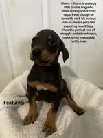 processed/84e55dc7-3325-497b-a217-0c4f88a825eb/listing/30c68fde-5b42-438b-87e4-1a9a9d50e4ca/553281d8-5c88-4132-968c-0b1821933536