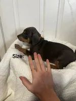 processed/84e55dc7-3325-497b-a217-0c4f88a825eb/listing/30c68fde-5b42-438b-87e4-1a9a9d50e4ca/f7aafe7c-59fc-4e01-8321-a53b012099bd