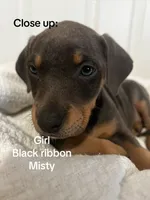 processed/84e55dc7-3325-497b-a217-0c4f88a825eb/listing/639df8fa-9e49-48b7-a6e4-24966941e17b/7651f113-740c-41a2-89c0-11b83bf1be4e