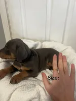 processed/84e55dc7-3325-497b-a217-0c4f88a825eb/listing/639df8fa-9e49-48b7-a6e4-24966941e17b/b82fb1da-066b-48aa-a2e3-4e4f043f96de