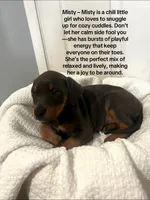 processed/84e55dc7-3325-497b-a217-0c4f88a825eb/listing/639df8fa-9e49-48b7-a6e4-24966941e17b/f70e54cd-2f57-4155-8d43-ee9d396a7ea9