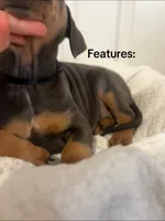 processed/84e55dc7-3325-497b-a217-0c4f88a825eb/listing/639df8fa-9e49-48b7-a6e4-24966941e17b/ff7a210e-9c93-4486-8105-2ef29daefc33