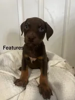 processed/84e55dc7-3325-497b-a217-0c4f88a825eb/listing/6e517662-659c-4cdc-b2a7-1f29da10109f/cc81421e-b6ed-4278-81bc-b2233a2e98e1