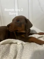 processed/84e55dc7-3325-497b-a217-0c4f88a825eb/listing/7f5f9d97-3860-442c-a0c4-a5b964fe1cfa/403051c3-9b83-4441-833a-f3c10c7a1af7