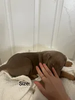 processed/84e55dc7-3325-497b-a217-0c4f88a825eb/listing/7f5f9d97-3860-442c-a0c4-a5b964fe1cfa/4c4b893c-1873-4490-a3da-1a2c76864c02