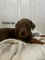 processed/84e55dc7-3325-497b-a217-0c4f88a825eb/listing/7f5f9d97-3860-442c-a0c4-a5b964fe1cfa/c4756edf-5766-42f0-9f50-d1daa6e0a10b