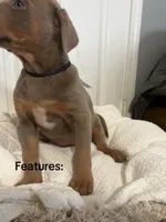 processed/84e55dc7-3325-497b-a217-0c4f88a825eb/listing/8e1e0836-2016-4062-9808-5250f18b9d01/2c19f2be-097b-4a9d-9ec9-4b0b89a4d916