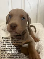 processed/84e55dc7-3325-497b-a217-0c4f88a825eb/listing/8e1e0836-2016-4062-9808-5250f18b9d01/8ab1b5c8-df87-4dc2-b1b8-1683b80836d4