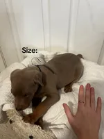 processed/84e55dc7-3325-497b-a217-0c4f88a825eb/listing/8e1e0836-2016-4062-9808-5250f18b9d01/dd698026-6642-44e3-97ef-51b01c613682