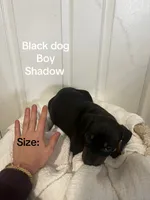 processed/84e55dc7-3325-497b-a217-0c4f88a825eb/listing/8e28fa9b-3557-422e-922d-eef27459e727/5ed17e39-687c-4f85-88d3-b57bd0150d99