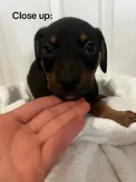 processed/84e55dc7-3325-497b-a217-0c4f88a825eb/listing/8e28fa9b-3557-422e-922d-eef27459e727/a4a9bbdf-db18-42bc-9aae-d35c23d8e7a3