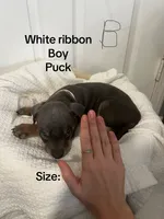 processed/84e55dc7-3325-497b-a217-0c4f88a825eb/listing/8fc5dd2a-917c-4a49-882c-02acb0459ba5/02839f62-0fb0-4fec-bd50-8e8283688454