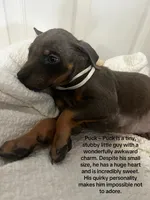 processed/84e55dc7-3325-497b-a217-0c4f88a825eb/listing/8fc5dd2a-917c-4a49-882c-02acb0459ba5/b216a123-5b81-4725-b1cd-adc5743bdb04