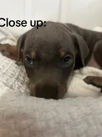 processed/84e55dc7-3325-497b-a217-0c4f88a825eb/listing/8fc5dd2a-917c-4a49-882c-02acb0459ba5/f0d459b2-9196-42fe-87ac-dcd76817f32c