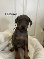 processed/84e55dc7-3325-497b-a217-0c4f88a825eb/listing/a4351659-4998-4e78-a8d4-d597ffb7d56b/15ad0359-3581-4242-a56c-94c219d0cf4f