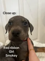 processed/84e55dc7-3325-497b-a217-0c4f88a825eb/listing/a4351659-4998-4e78-a8d4-d597ffb7d56b/9045fb68-31bd-43aa-a349-e74c7cb1c7e7