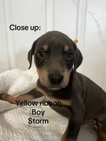 processed/84e55dc7-3325-497b-a217-0c4f88a825eb/listing/d8f7adab-b12d-4360-87bf-928f1ab2bc2b/86d1c0e6-39e2-453b-a786-c575ff5e21dc