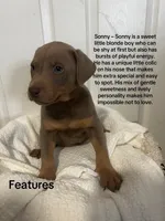 processed/84e55dc7-3325-497b-a217-0c4f88a825eb/listing/d8f7adab-b12d-4360-87bf-928f1ab2bc2b/89185552-c5fd-4eae-bd17-fa0a178cbca6