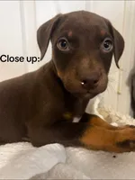 processed/84e55dc7-3325-497b-a217-0c4f88a825eb/listing/d8f7adab-b12d-4360-87bf-928f1ab2bc2b/8e035c7c-1634-4e8c-9826-95ea55bdbf7f