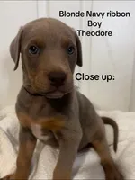 processed/84e55dc7-3325-497b-a217-0c4f88a825eb/listing/d8f7adab-b12d-4360-87bf-928f1ab2bc2b/d96312be-1474-4612-a4c9-ed9a36da01b2