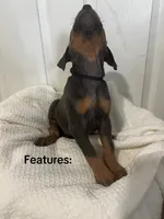 processed/84e55dc7-3325-497b-a217-0c4f88a825eb/listing/ee80d156-9043-4081-9bb2-f7937388c399/3160b42a-9a03-4997-9d2a-fd7622d06db9