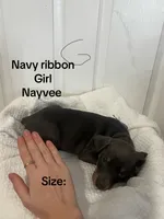 processed/84e55dc7-3325-497b-a217-0c4f88a825eb/listing/ee80d156-9043-4081-9bb2-f7937388c399/42fde338-5f7e-4408-8bd9-991fdcf7939e