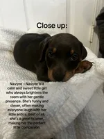 processed/84e55dc7-3325-497b-a217-0c4f88a825eb/listing/ee80d156-9043-4081-9bb2-f7937388c399/6634ff12-e04a-4dad-a551-bc18ac32f593