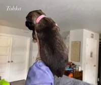 Tohka, a male Alaskan Malamute for sale in Spokane, WA – Photo 2 of 5