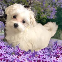 processed/84ed52d7-318d-4d0f-a424-07c4a003bf93/listing/a53ad8cf-b200-43ce-aaf0-423b835b64f7/c081619b-a78a-4227-addc-fa9d22086957