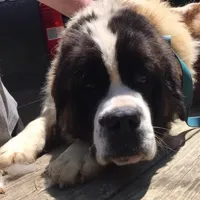 processed/84efe27f-dfdf-4497-bb0d-ffcaf6013a5f/facility/27847314-142e-44b7-b964-16d563f8e290